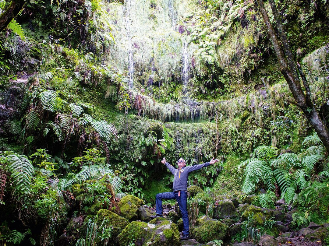 Wandern auf Madeira-马德拉群岛必去景点
