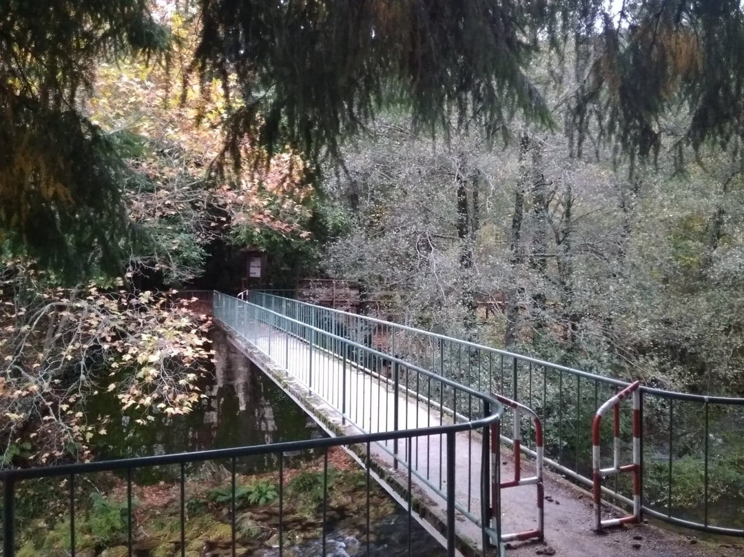 Museu Natural da Electricidade景点图片