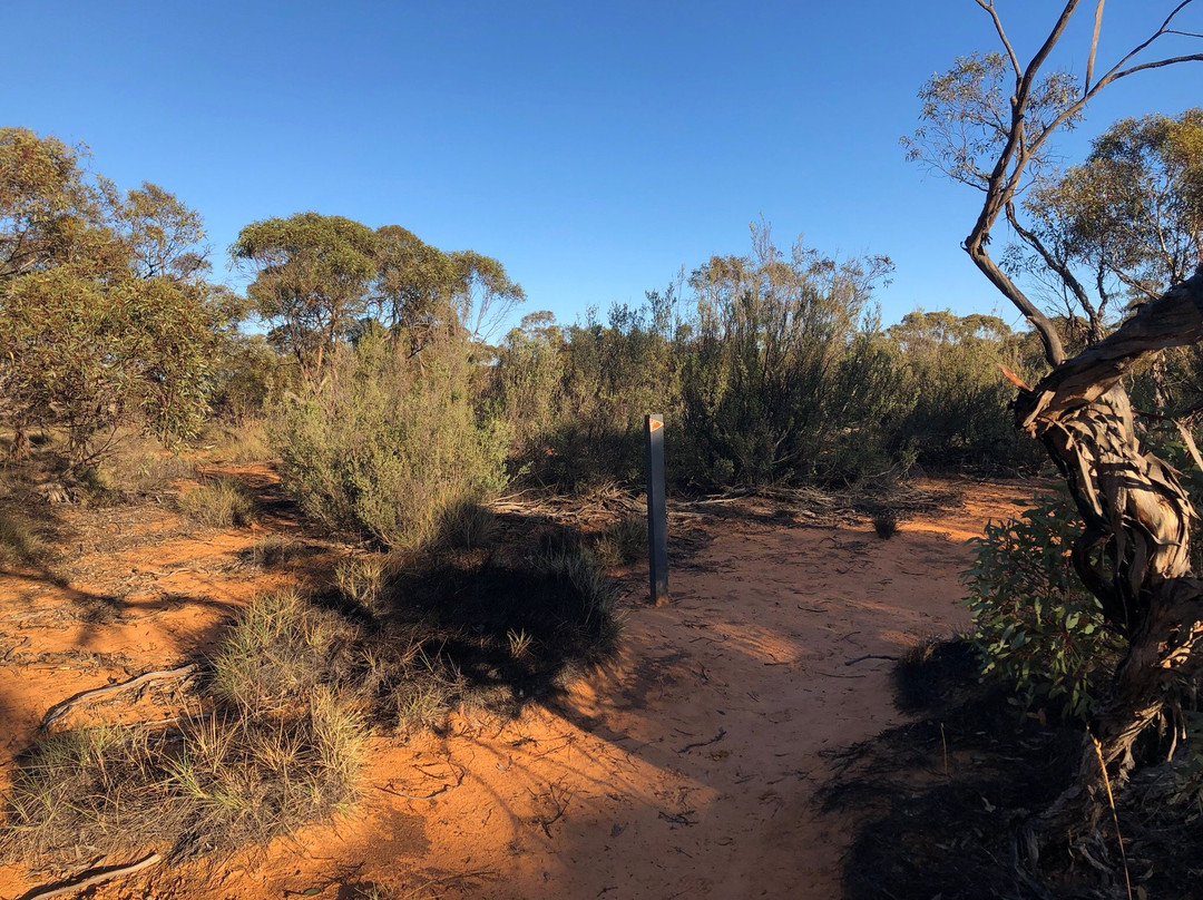 Hattah Nature Walk-Ouyen必去景点