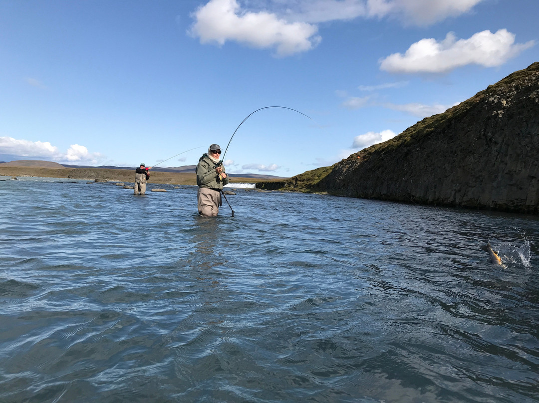 Go Fishing Iceland-科帕伏古必去景点