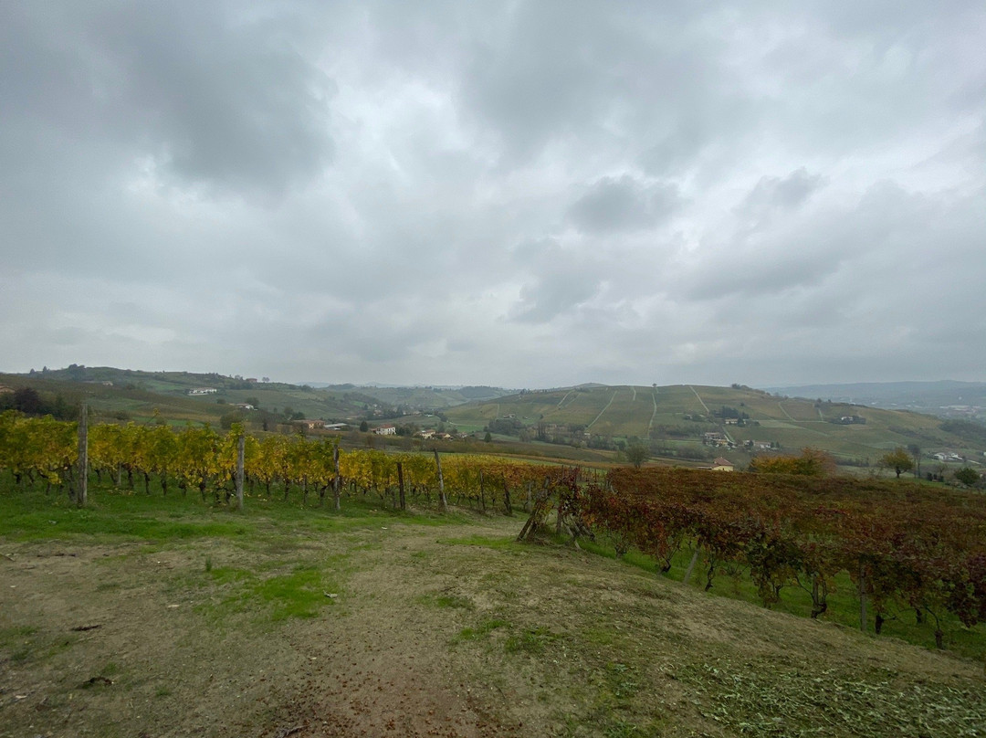Azienda Agricola Franco Mondo景点图片