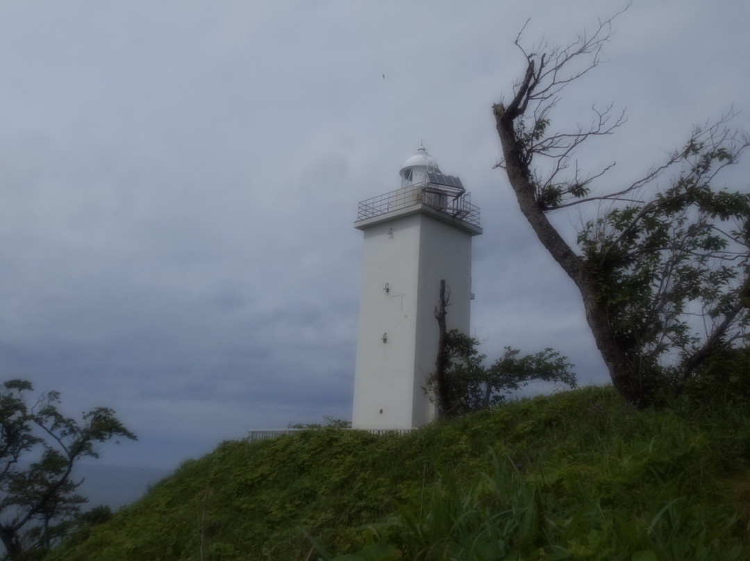 Kasamisaki Lighthouse景点图片