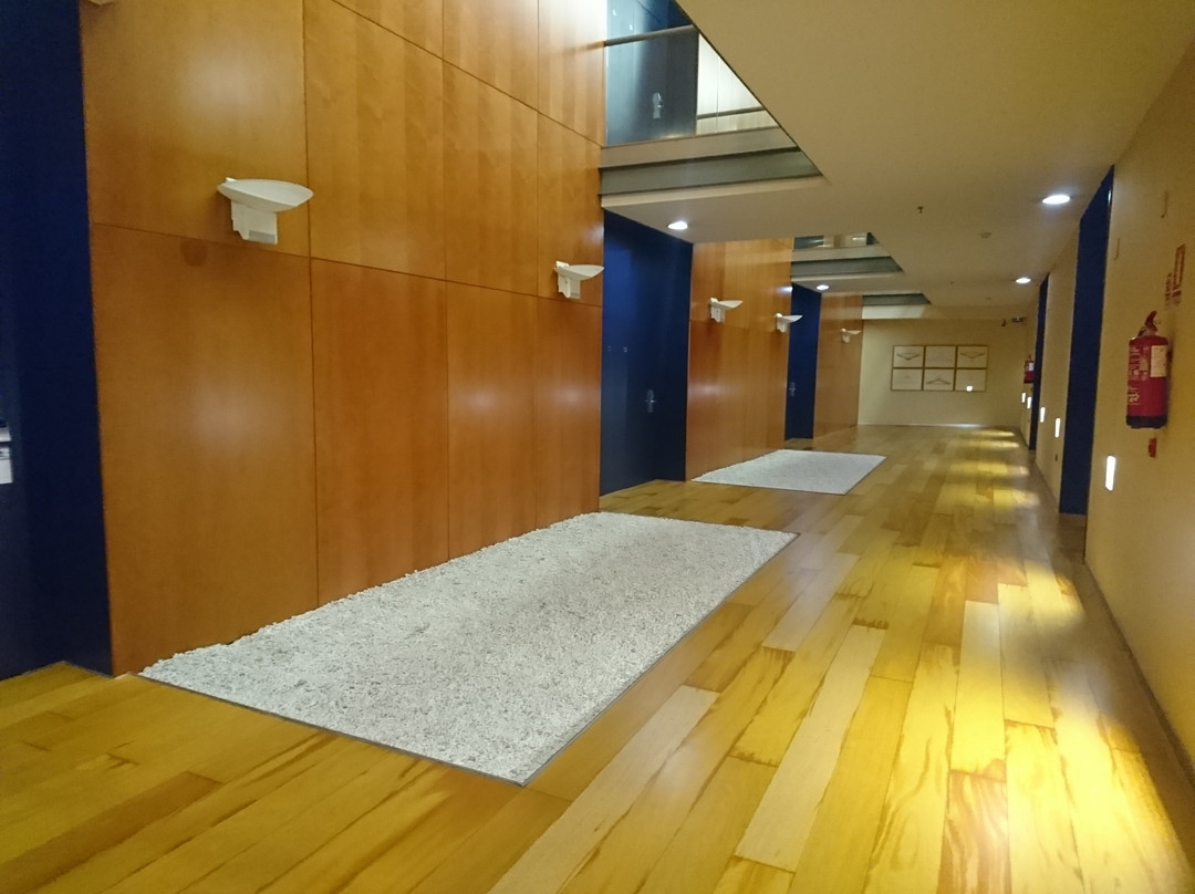 Hotel Castellón Center Affiliated by Meliá主图