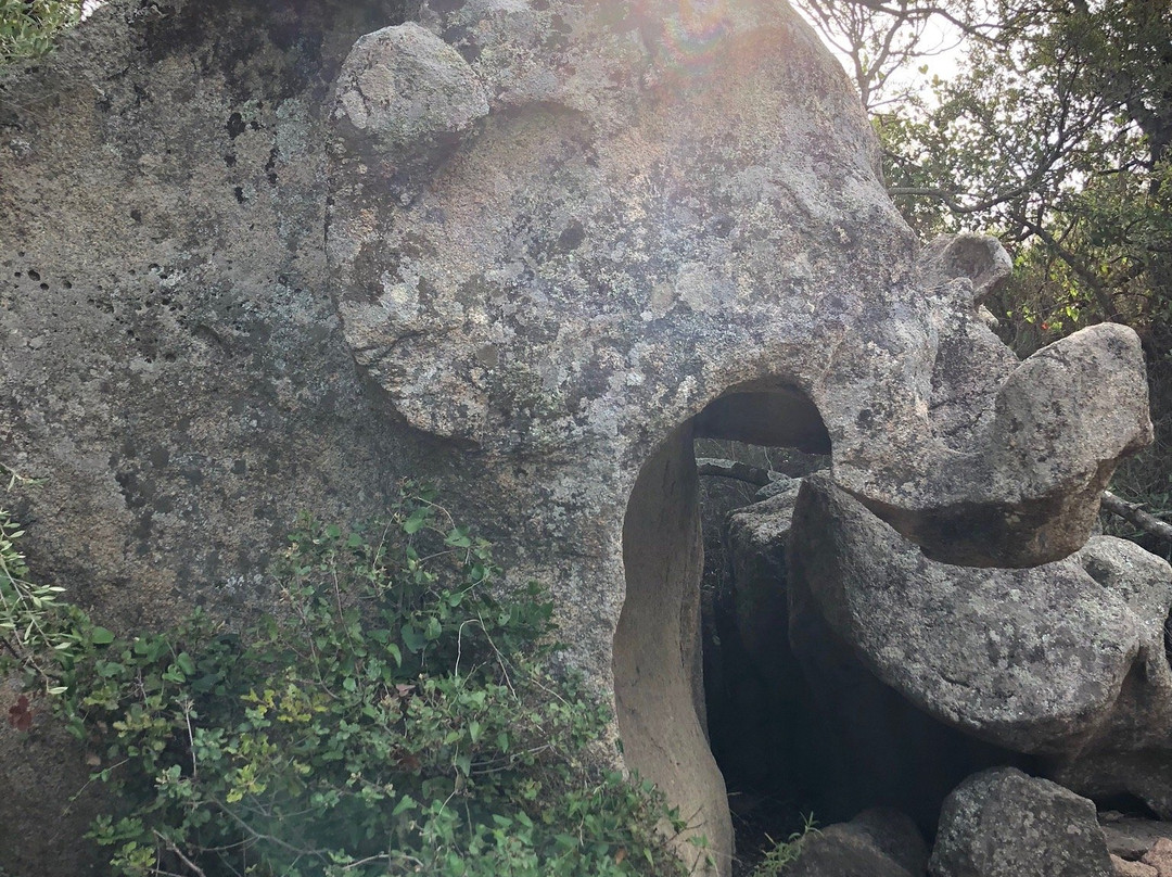 Sentier du Patrimoine景点图片