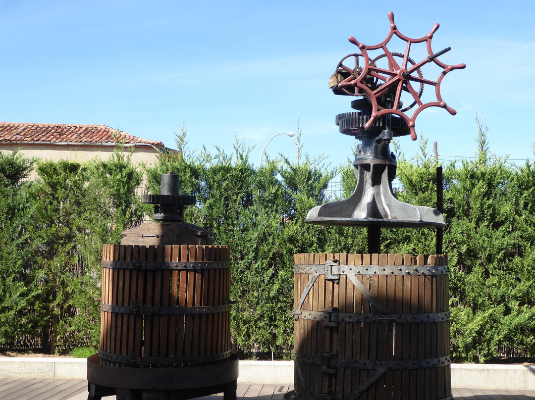 Museo del Vino景点图片