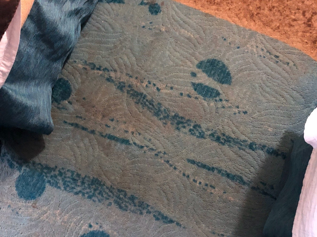 Soaring Eagle Waterpark and Hotel主图