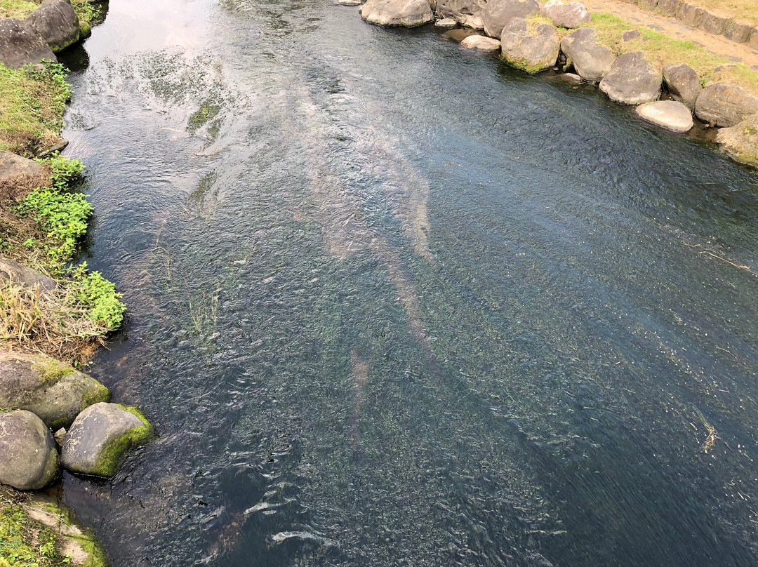 Kamogawa Riverside Park景点图片