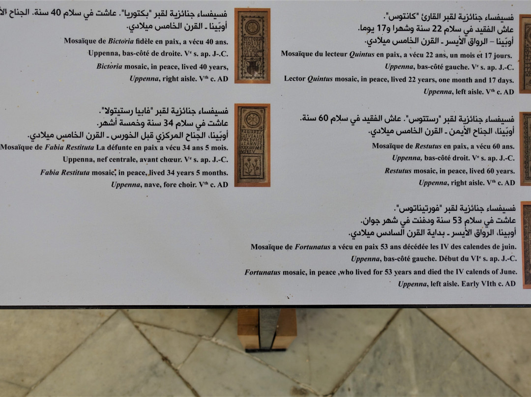 Musée d'Enfidha-Enfidha必去景点