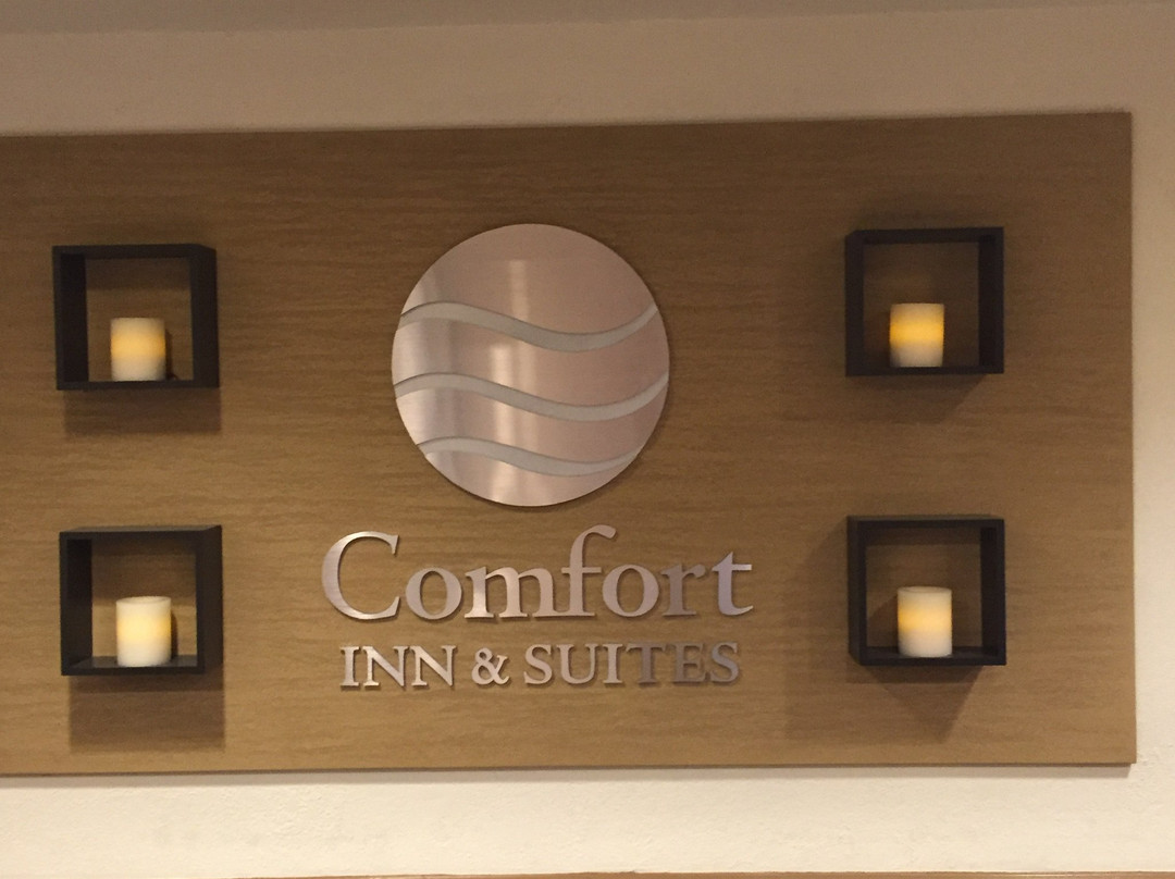 Comfort Inn & Suites Raphine - Lexington Near I-81 and I-64主图