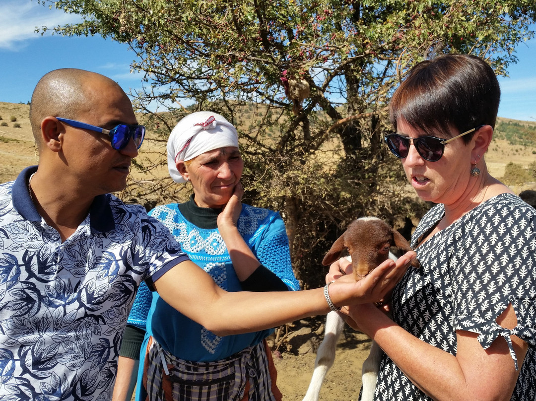 Morocco Hands On Tours-非斯必去景点