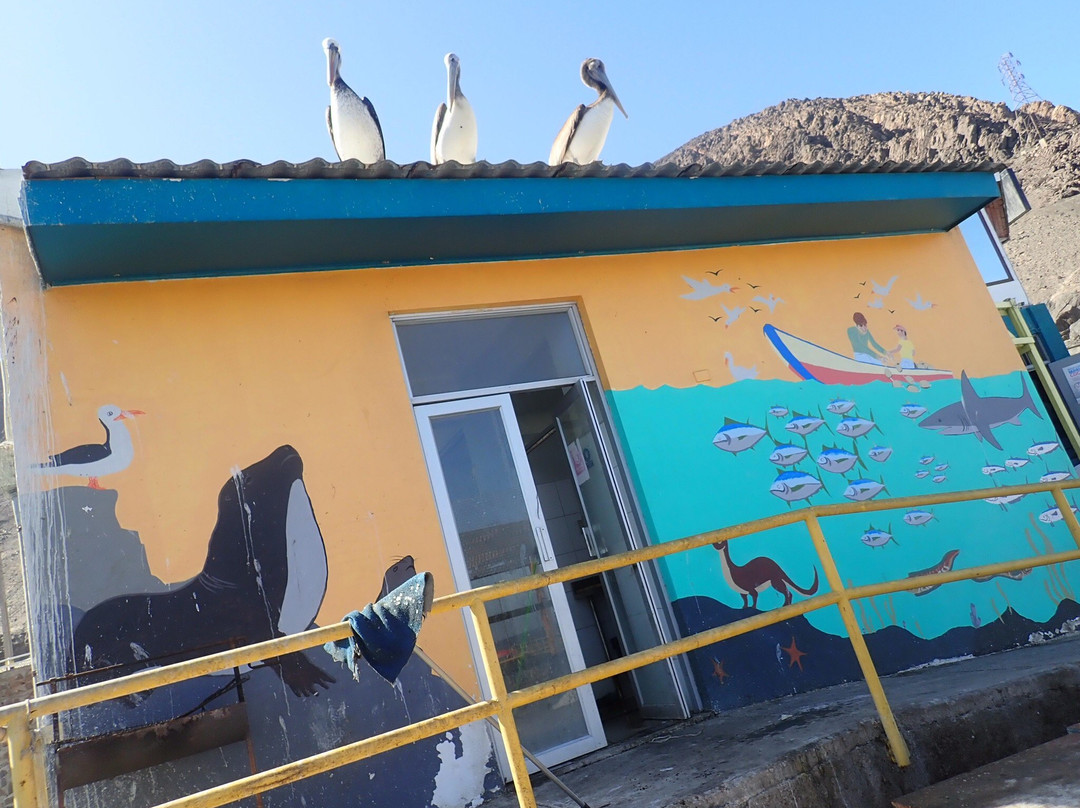 Sugar Bread Hostel主图