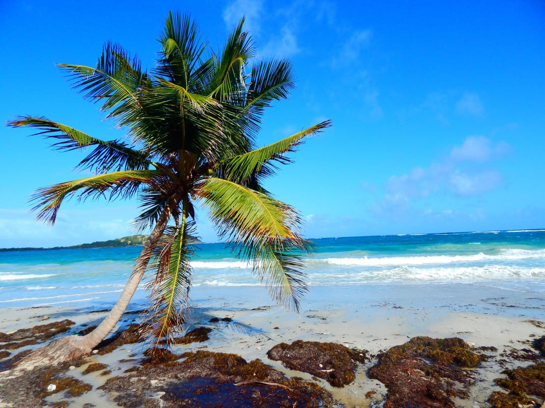 Anse Trabaud-Sainte-Anne必去景点