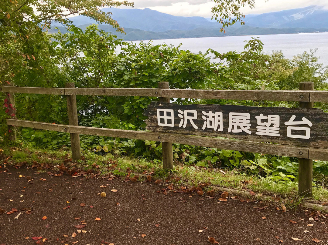 Katamaeyama Forest Park-仙北市必去景点