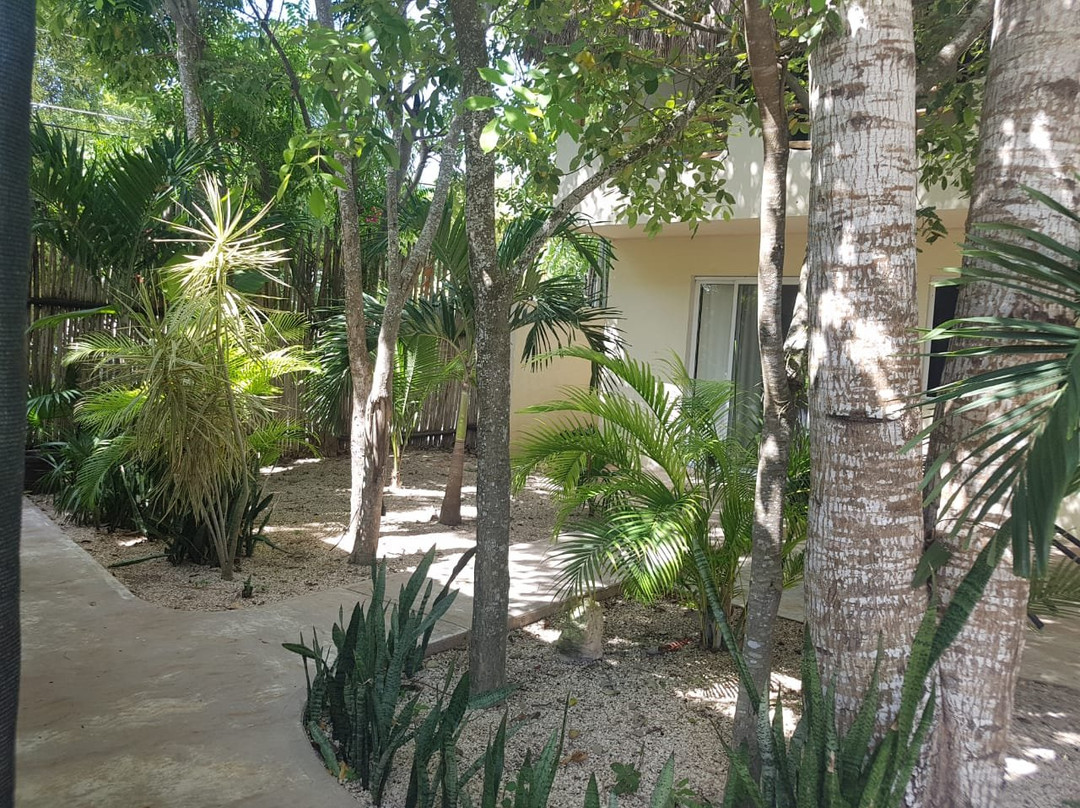 Hotel & Suites Oasis Bacalar主图