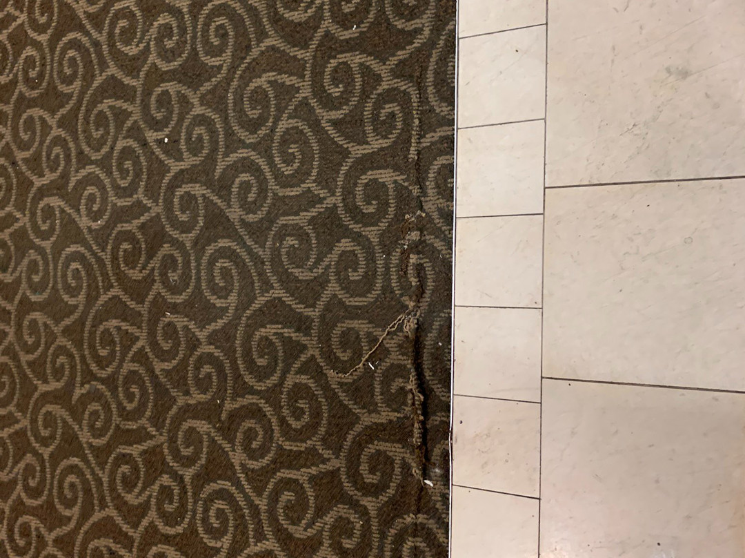 波士顿皮博迪假日套房酒店主图