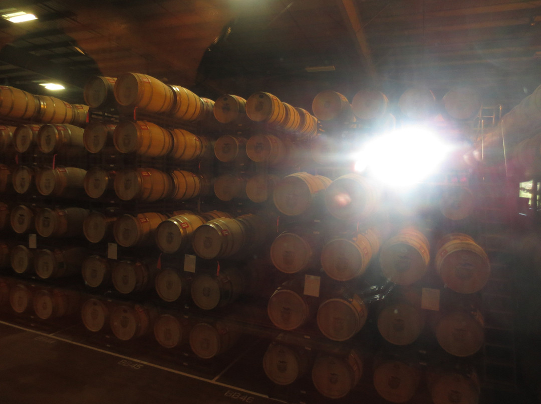 Francis Ford Coppola Winery Too!-Geyserville必去景点