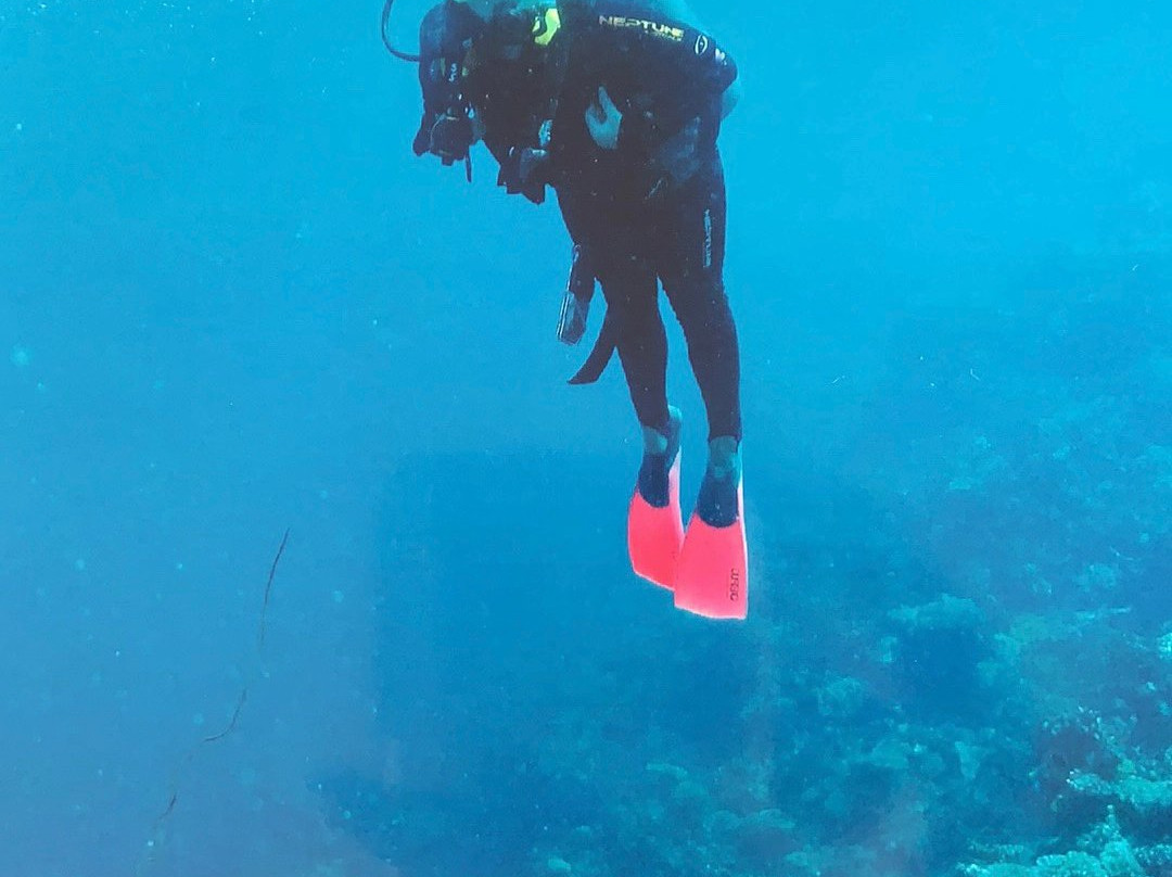 Quicksilver Dive景点图片