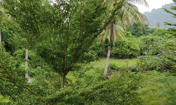 i-Style Lanta Boutique House主图