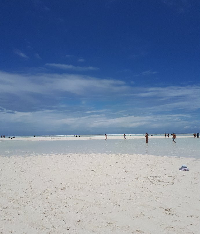 Papaya Travel & Excursions Zanzibar-Matemwe必去景点