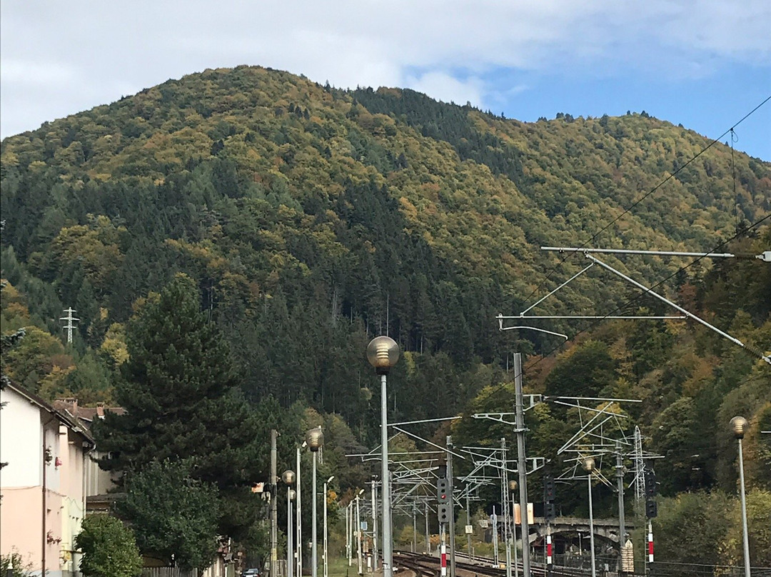 Sinaia Railway Station-锡纳亚必去景点