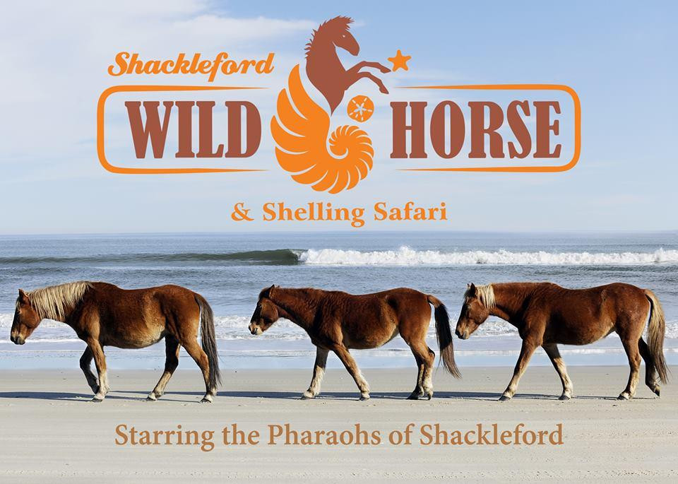 Shackleford Wild Horse & Shelling Safari景点图片