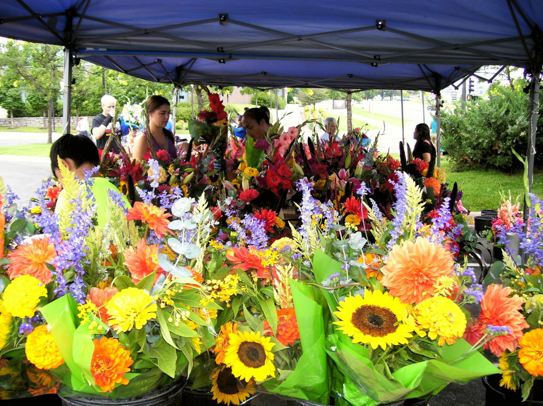 Bloomington Farmer's Market景点图片