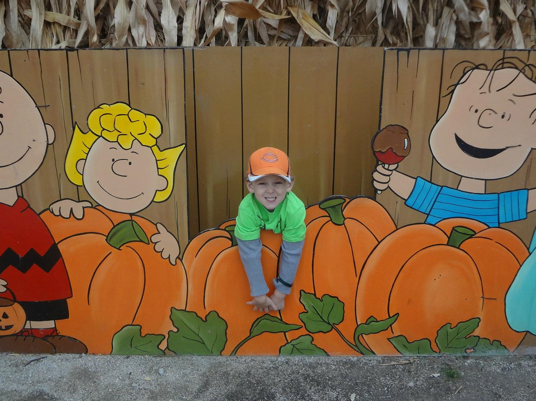 Goebbert's Farm - South Barrington-South Barrington必去景点