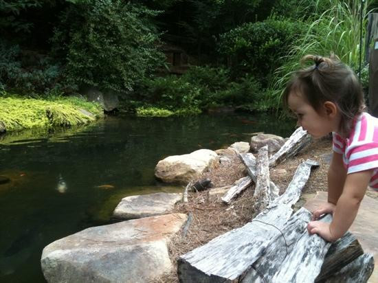 Wakoola Gardens-卡明必去景点