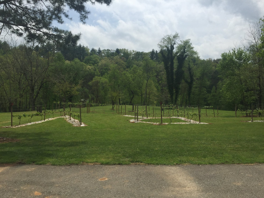 Ellijay River Vineyard