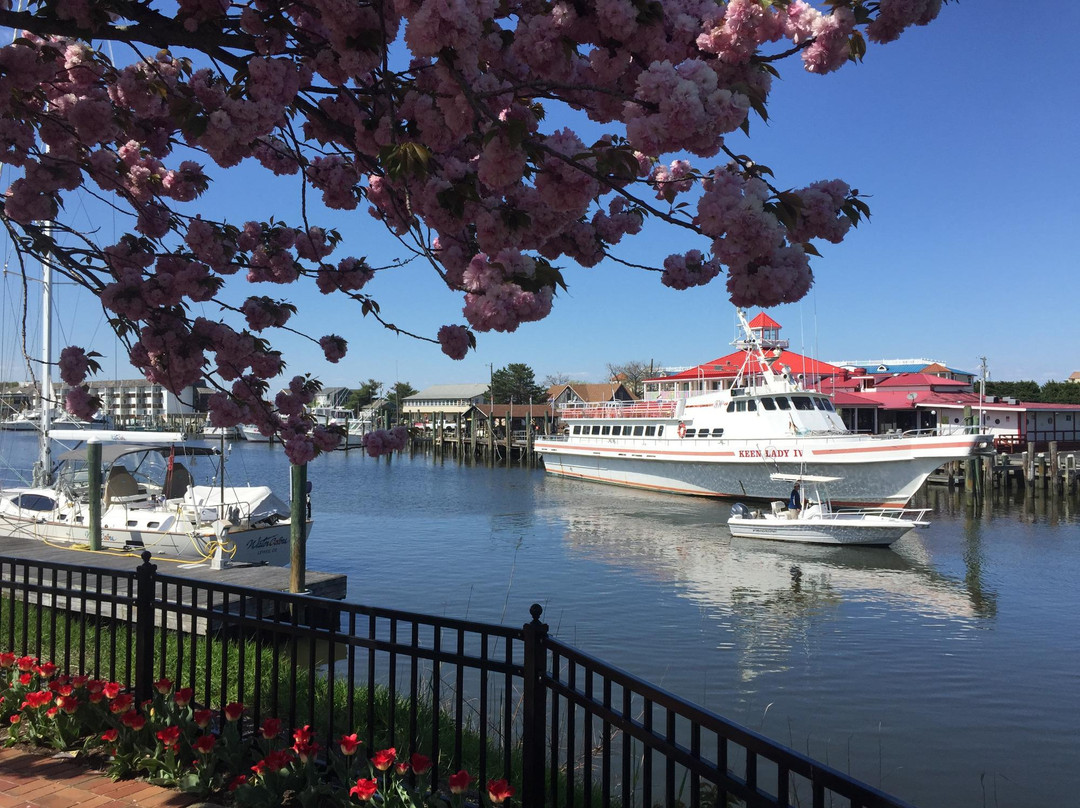 PUZZLES-刘易斯必去景点