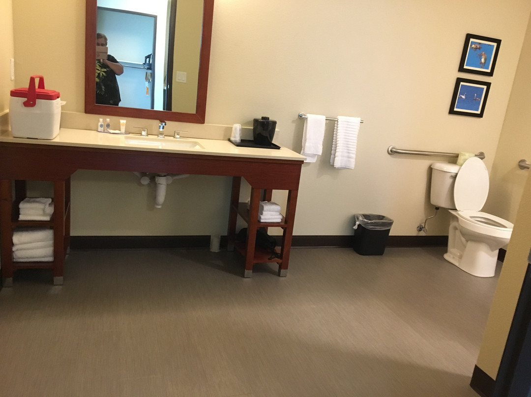 Comfort Inn & Suites near ISU Campus主图