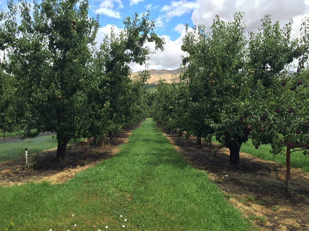 Miller Orchards景点图片