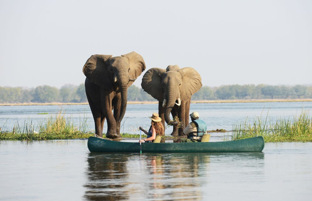 null-Lower Zambezi National Park