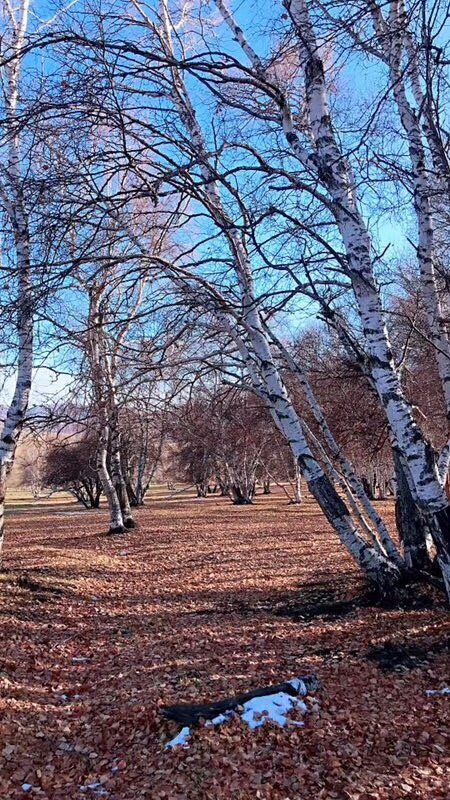 乌兰布统草原-赤峰市必去景点