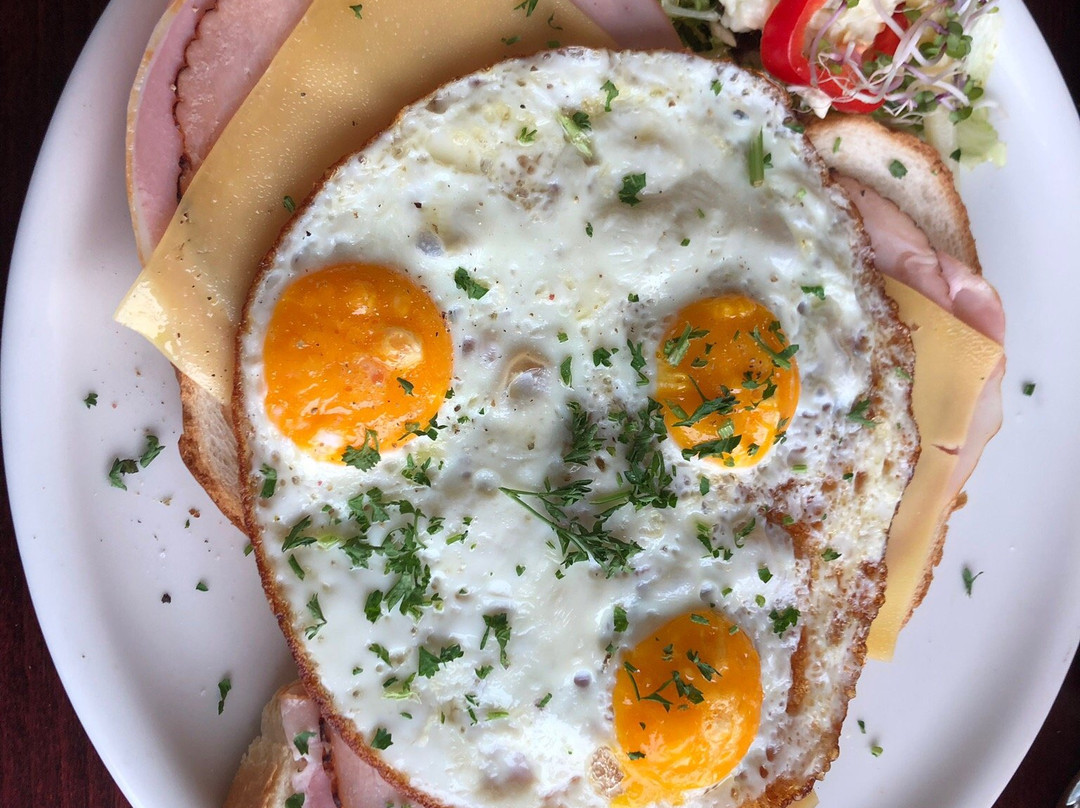 Van der Valk Hotel Hardegarijp主图