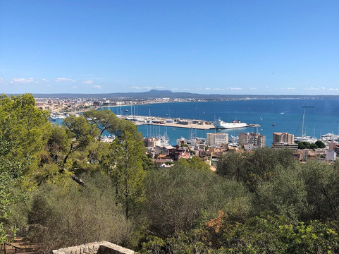 GreenTours Palma-马洛卡帕尔马必去景点