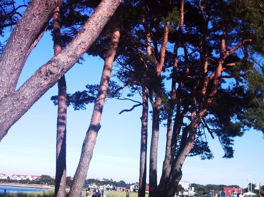 Strandpromenade景点图片