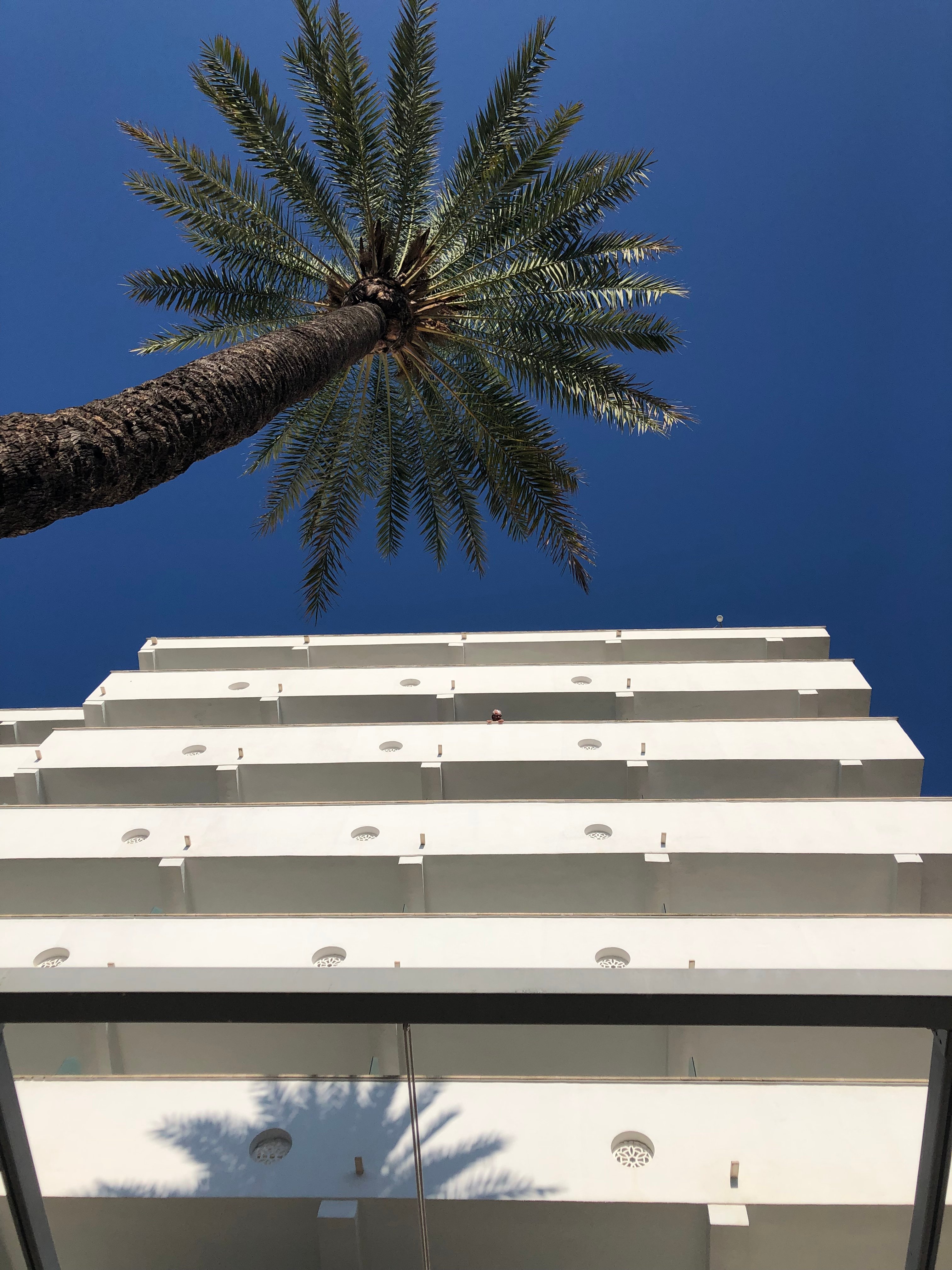 巴拿马奥拉酒店(Globales Panama)-浴室