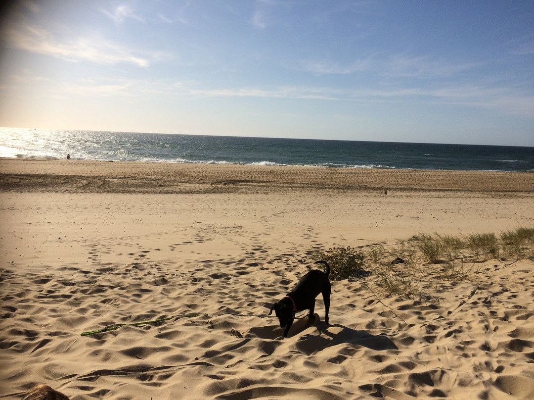 Plage de Contis les Bains景点图片