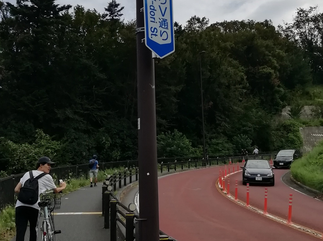 Yomiuri V Road-稻城市必去景点