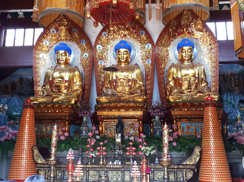 Scarlett Mao Tours-上海市必去景点