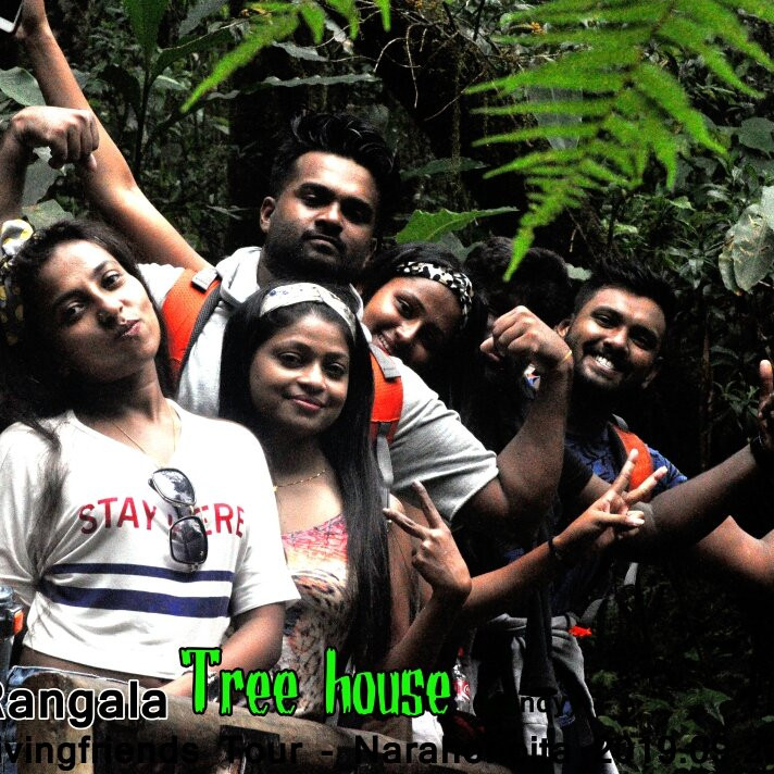 Tree House Rangala主图