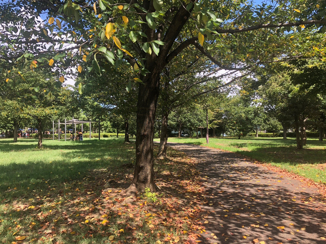 Ojima Komatsugawa Park-江东区必去景点