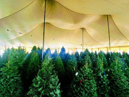 Arizona Pumpkin Patch-钱德勒必去景点