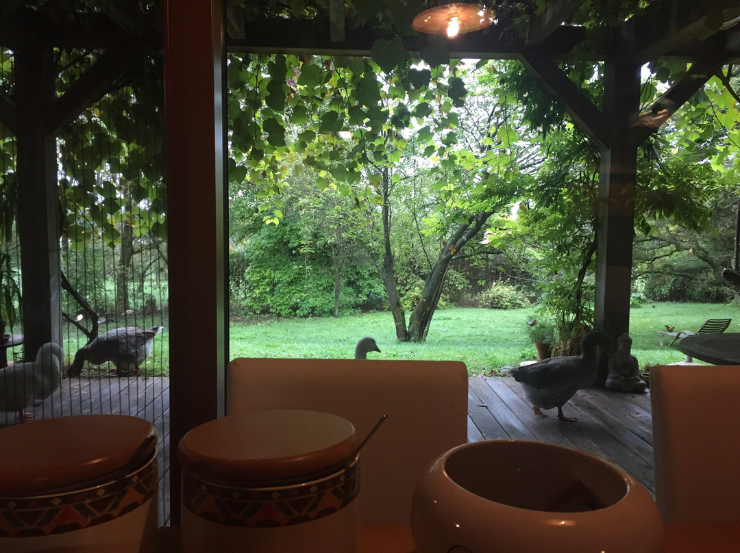 Campo di Cielo Bio Agriturismo Vegano主图