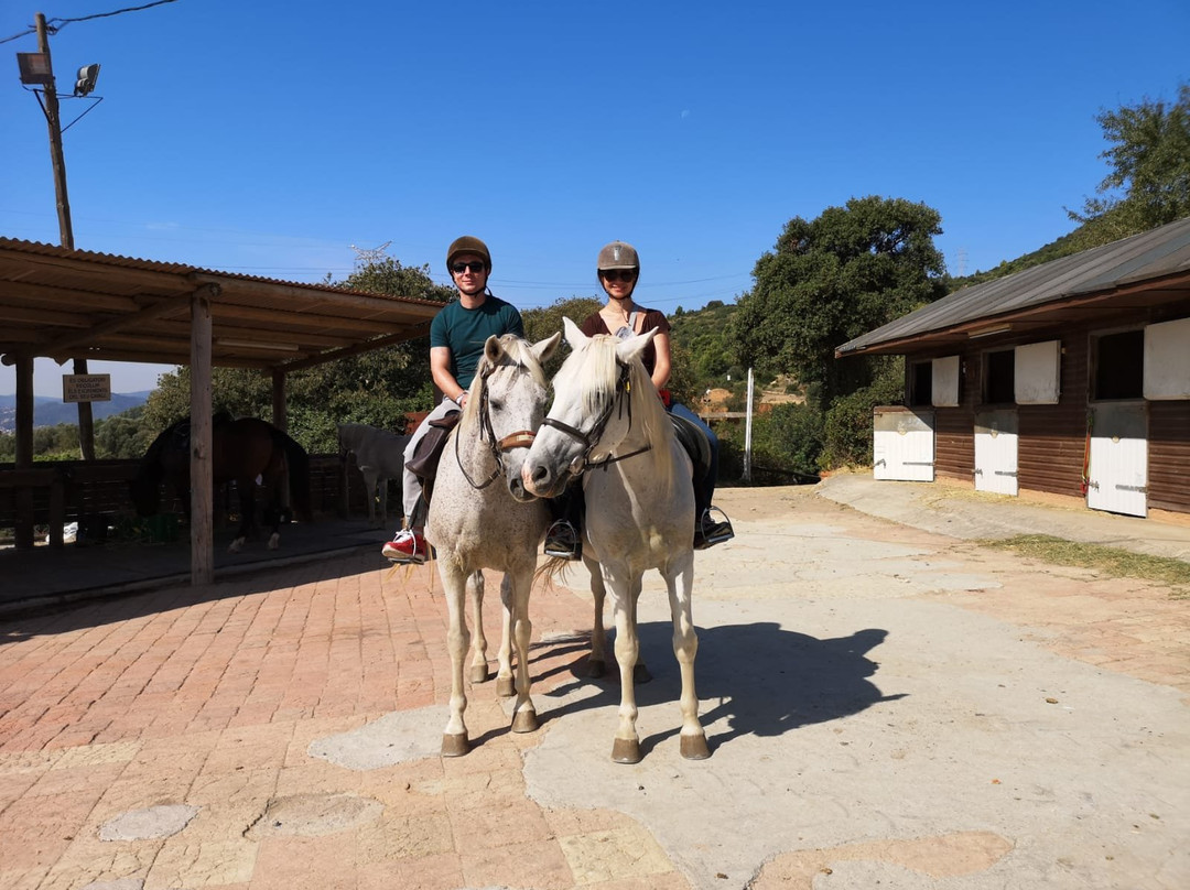Barcelona Horse Tours景点图片