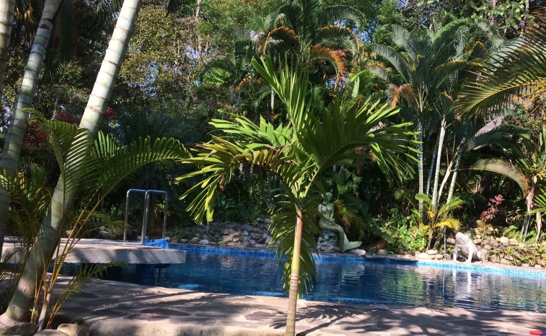 Hospedaje La Sangapilla主图