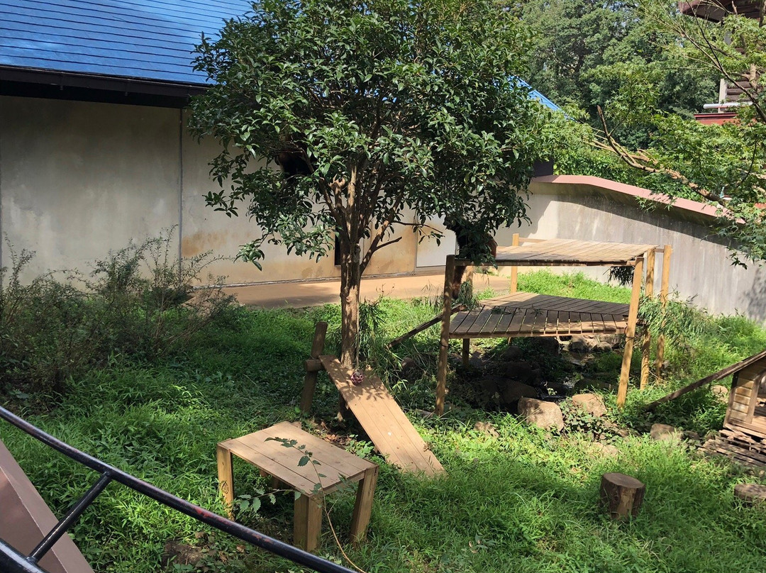 Ichikawa City Zoo-市川市必去景点