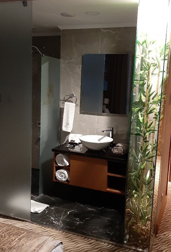 Aselia Hotel主图
