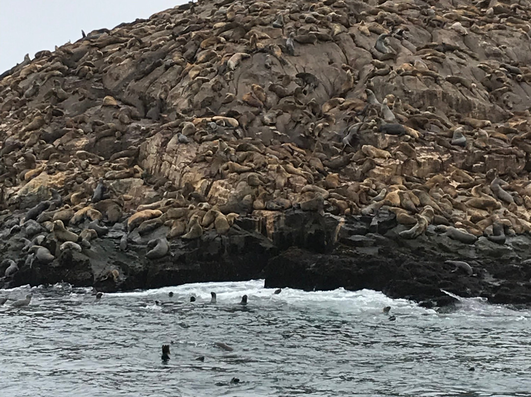 Kuyakuy Travel-利马必去景点